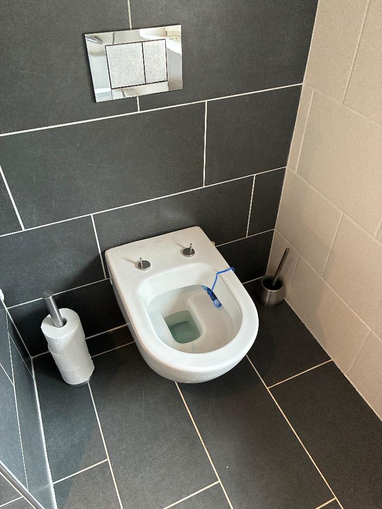 Villeroy & Boch toilet met Geberit drukplaat en binnenwerk, Doe-het-zelf en Verbouw, Sanitair, Ophalen, Gebruikt, Steen, Toilet