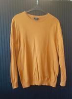 Heren Trui maat L, Maat 52/54 (L), Geel, Zo goed als nieuw, Smog