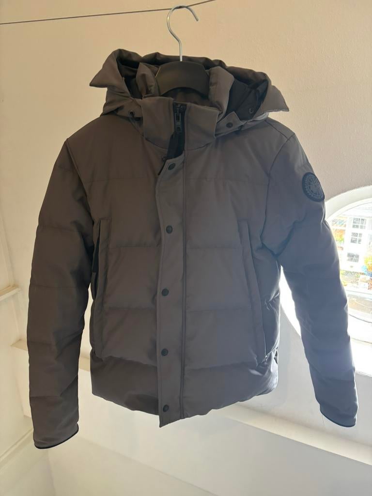 Canada goose wyndham parka black badge, Ophalen of Verzenden, Nieuw, Maat 46 (S) of kleiner, Grijs