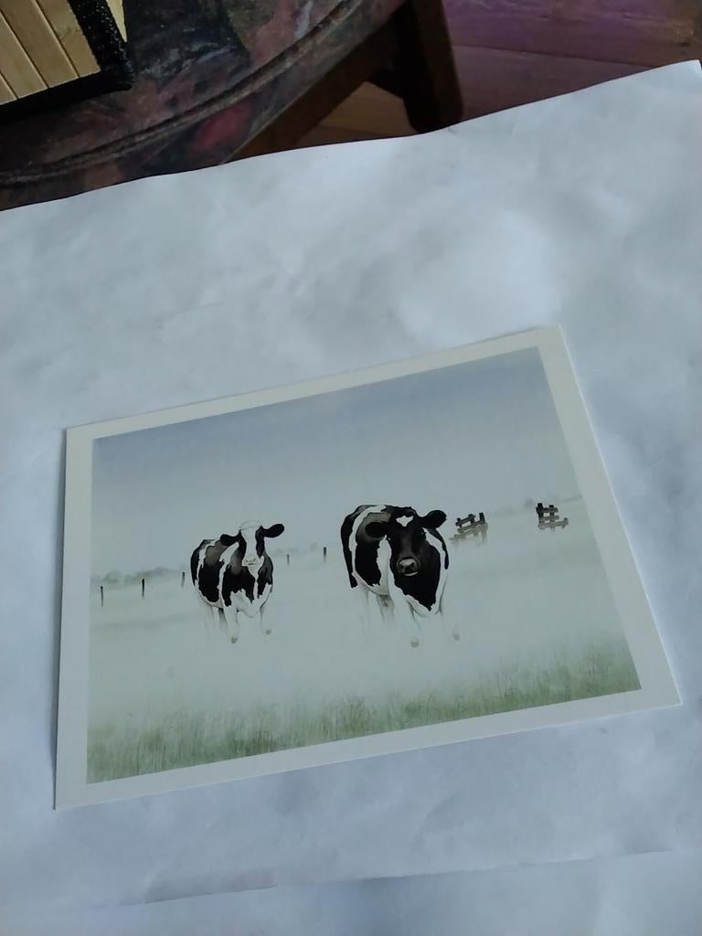 WIEBE VAN DER ZEE / "GOEDE MORGEN", Ophalen of Verzenden