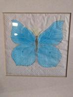 Ingelijste vlinder schildering - Blauwe vlinder, Ophalen of Verzenden