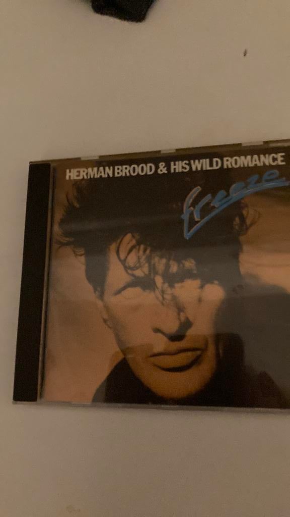 Herman Brood and his Wild Romance. Cd, Ophalen of Verzenden, Zo goed als nieuw