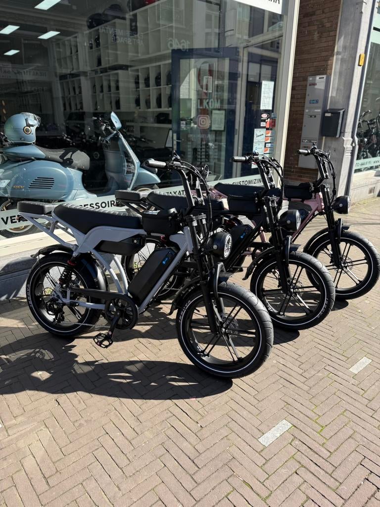 FATBIKE V29 MET DUBBELE ACCU ENIGE IN NEDERLAND