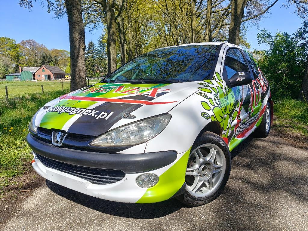Peugeot 206 RC | 182PK | Rolkooi | Protlum | Sperdiff | Race