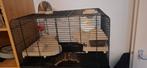 Hamsterkooi, Ophalen of Verzenden, Minder dan 75 cm, Kooi, Minder dan 60 cm