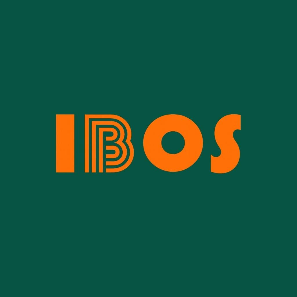 IBOS | Bijles basisschool & VO omgeving Amsterdam, Privéles, Bijles