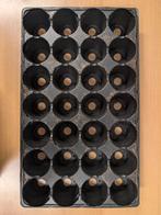 Zaaitrays / Stektrays / kweektrays / Zaakbakken., Ophalen of Verzenden, Zo goed als nieuw, Kweekbak