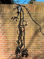 Kabelboom Vespa Sprint 4T - Origineel Onderdeel, Ophalen, Gebruikt, Overige typen, Vespa