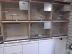 Broedkooien, Dieren en Toebehoren, Vogels | Hokken en Kooien, Ophalen, Broedkooi of Kweekkooi