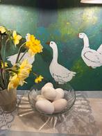 Verse ganzen eieren (€1,5 per stuk), Geslacht onbekend, Gans of Zwaan