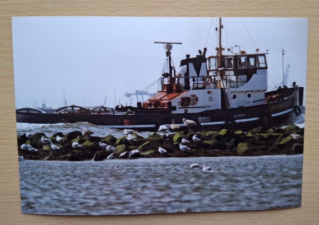 Foto van sleepboot En Avant 27 bij Hoek van Holland, Verzenden, 1980 tot heden, Foto, Nieuw