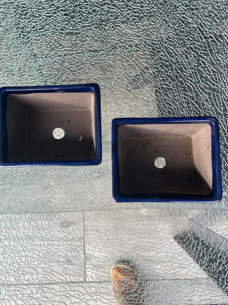 2x Japanse Bonsai Schalen - Blauw Keramiek, Overige materialen, Gebruikt, Minder dan 30 cm, Minder dan 60 cm