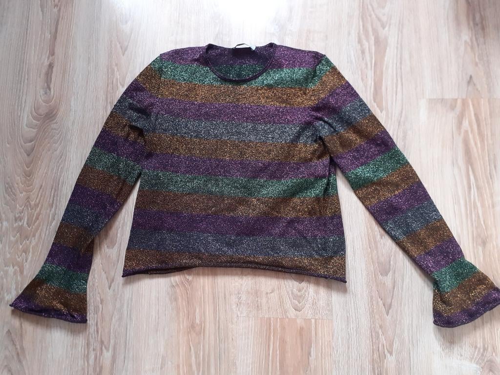 Leuk glitter truitje van Zara maat M, Maat 38/40 (M), Ophalen of Verzenden, Zo goed als nieuw, Zara