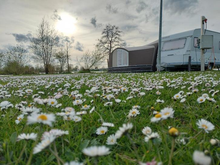 Dorema Onyx voortent maat 9 met luifel en luxe uitbouw, Caravans en Kamperen, Tenten, Ophalen