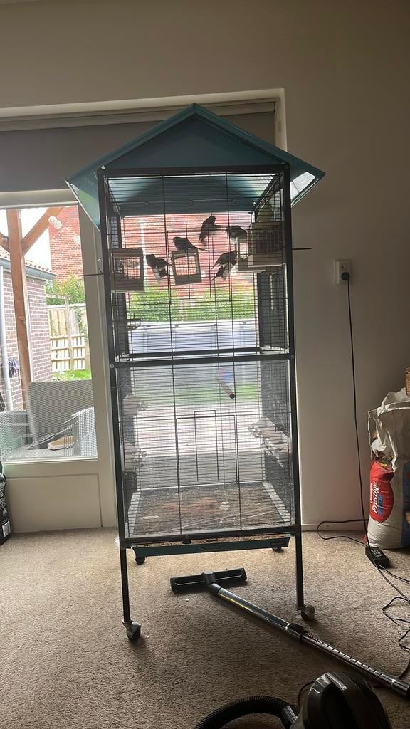 Mooie vogel kooi. Drie maand oud., Ophalen, Zo goed als nieuw, Metaal, Vogelkooi