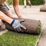 Graszoden gazon gras aanleggers aangeboden, Ophalen of Verzenden, Nieuw, 20 m² of meer, Gras
