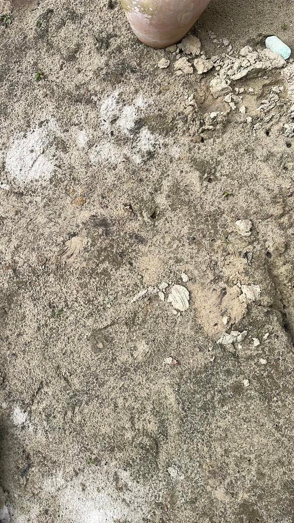 Zand (wit / geel), Tuin en Terras, Zand, Ophalen, Zo goed als nieuw, Ophoogzand