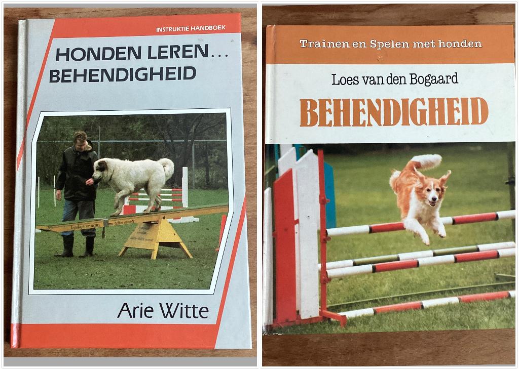 Honden leren.. behendigheid - Arie Witte / Loes vd Bogaard, Ophalen of Verzenden, Gelezen, Honden, Loes vd Bogaard Arie Witte