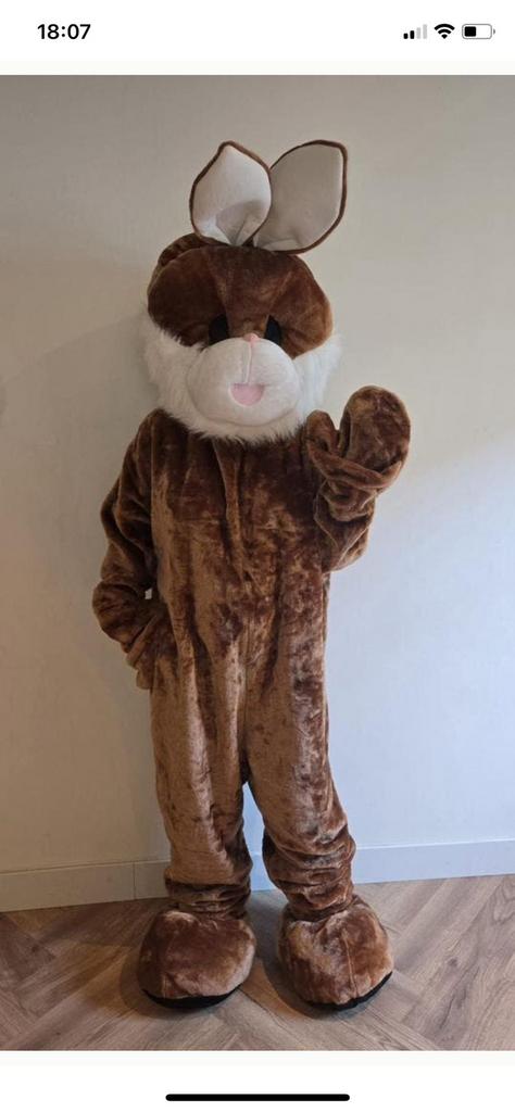 Mascotte paashaas te koop, Kinderen en Baby's, Carnavalskleding en Verkleedspullen, Ophalen of Verzenden, Gebruikt, Jongen of Meisje