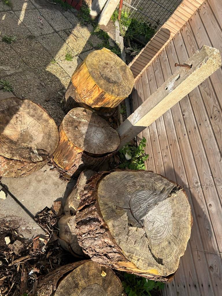 Boomstammen voor brandhout of decoratie, Minder dan 3 m³, Ophalen, Overige houtsoorten, Stammen