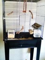 mooi kooi, Ophalen of Verzenden, Zo goed als nieuw, Metaal, Vogelkooi