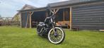 Harley Davidson Sportster iron 883 Custom, Chopper