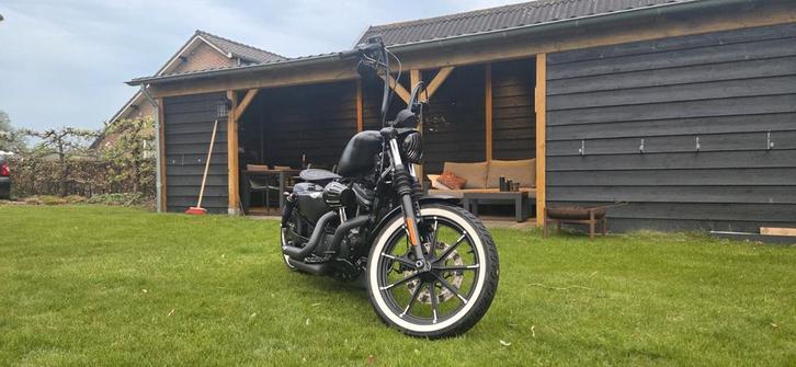 Harley Davidson Sportster iron 883 Custom, Motoren, Motoren | Harley-Davidson, Chopper, Ophalen