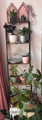 Leuke planten standaard 'trap' - Ophalen Amsterdam centrum, Ophalen, Gebruikt