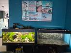 Te Koop: Juwel Aquarium 180l (1 meter), Ophalen, Gebruikt, Overige typen
