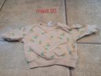 Hema truitje maat 50, zo goed als nieuw, Kinderen en Baby's, Babykleding | Maat 50, Ophalen of Verzenden