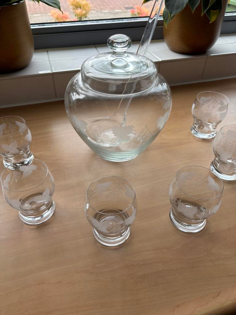Bowl set met 6 glazen, Ophalen, Zo goed als nieuw, Overige typen