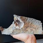 Geode in Steen - Prachtig Exemplaar!, Verzamelen, Mineralen en Fossielen, Ophalen of Verzenden