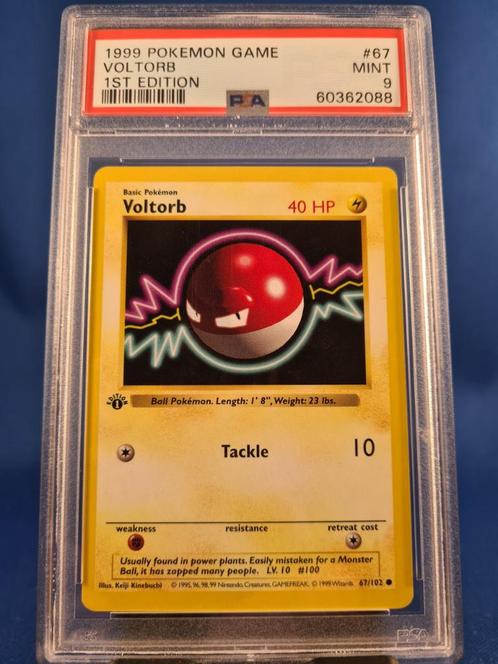 Voltorb 67/102 - Base (1st edition) (PSA 9), Hobby en Vrije tijd, Verzamelkaartspellen | Pokémon, Gebruikt, Losse kaart, Verzenden