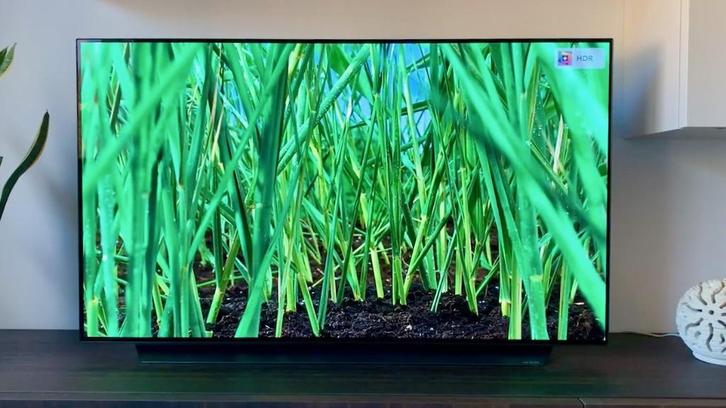 LG OLED C9 55 inch OLED55C9PLA in uitstekende staat, Audio, Tv en Foto, Televisies, Gebruikt, OLED, 100 cm of meer, 4k (UHD), LG