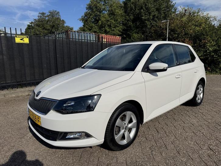 Skoda Fabia 1.2 TSI JOY 5 Drs Clima/Cruise/Led/LMV, Auto's, Skoda, Bedrijf, Te koop, Fabia, ABS, Airbags, Airconditioning, Alarm
