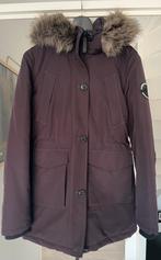 Lange Parka winterjas Superdry Everest, Maat 38/40 (M), Superdry, Paars, Ophalen of Verzenden
