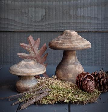 Set paddenstoelen bruin. beschikbaar voor biedingen