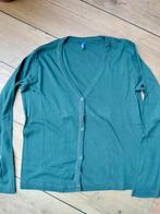 Cecil dun vest maat M, Maat 38/40 (M), Ophalen of Verzenden, Zo goed als nieuw, Cecil