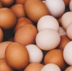 Scharreleieren, Ophalen