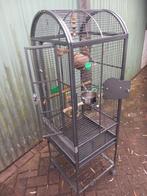 Vogelkooi 140x45x45, Dieren en Toebehoren, Vogels | Hokken en Kooien, Ophalen, Gebruikt, Metaal, Vogelkooi