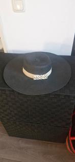 Hoed, Ophalen of Verzenden, Zo goed als nieuw, Carnaval