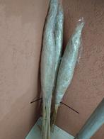 3 pampas  alle 3 voor 15 of 1 voor 5 euro zijn een meter, Huis en Inrichting, Woonaccessoires | Droogbloemen, Ophalen, Zo goed als nieuw