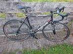 Focus Racefiets - Goed Onderhouden, 28 inch, Carbon, 10 tot 15 versnellingen, Heren
