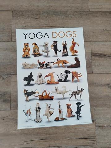 Yoga Dogs Poster - Nieuwstaat beschikbaar voor biedingen