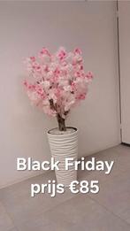 nieuwe bloesemboom aanbieding, Ophalen, Nieuw, Overige kleuren, Minder dan 50 cm
