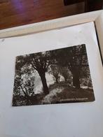 AARLANDERVEEN. POLDERGEZICHT, Ophalen of Verzenden