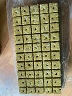 kweekspullen zaaitray voor 50 zaden plantjes zaailingen, Ophalen of Verzenden, Nieuw