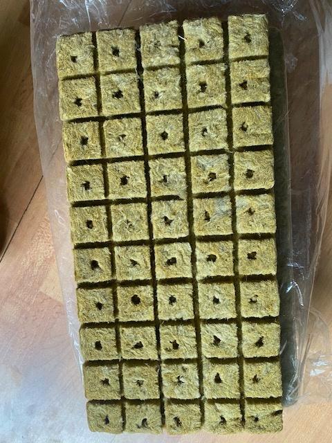 kweekspullen zaaitray voor 50 zaden plantjes zaailingen, Tuin en Terras, Kweekspullen, Nieuw, Ophalen of Verzenden