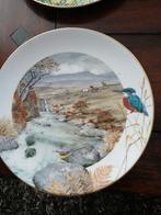 Complete serie wandborden 12 stuks/maanden Royal Worcester., Ophalen of Verzenden