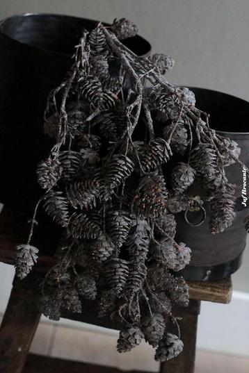 Dennenappeltak real touch bruin beschikbaar voor biedingen